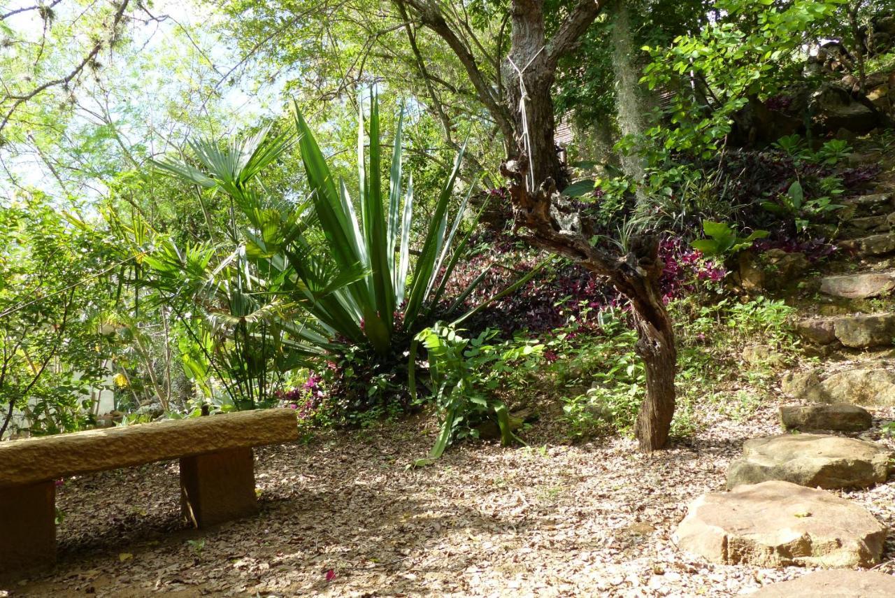 El Paraiso San Vicente Bed & Breakfast *